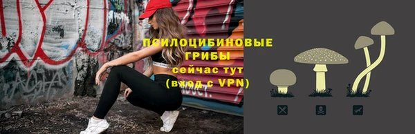 дмт Пересвет