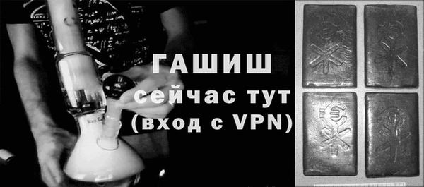 дмт Пересвет