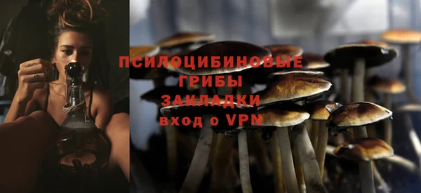герыч Переславль-Залесский