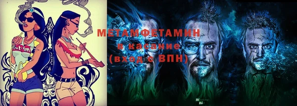 дмт Пересвет
