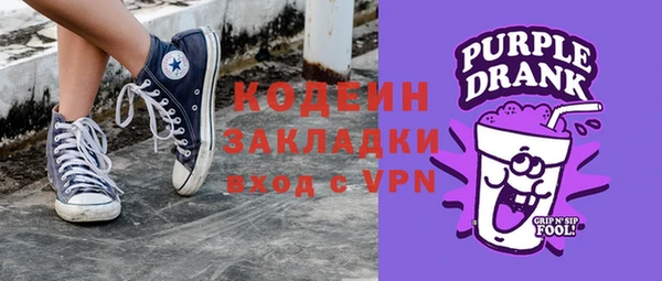 дмт Пересвет