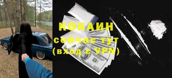 дмт Пересвет