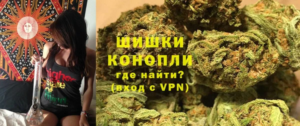 дмт Пересвет