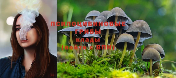 марки nbome Пестово